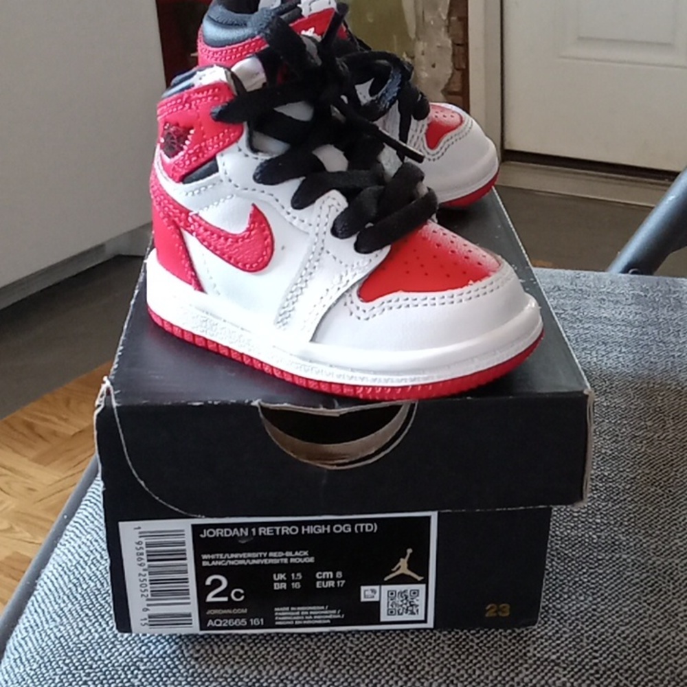 Jordan 1 Retro High OG (TD)